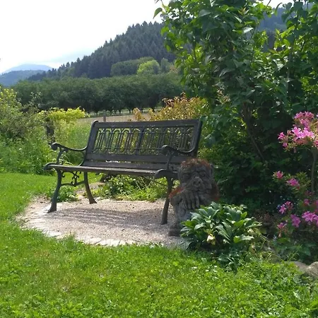 Belchenblick