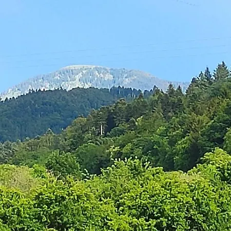Belchenblick *