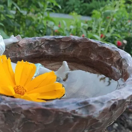 Belchenblick シュタウフェン・イム・ブライスガウ