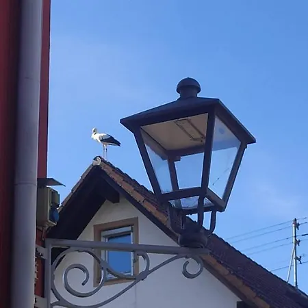 Apartment Belchenblick Staufen im Breisgau