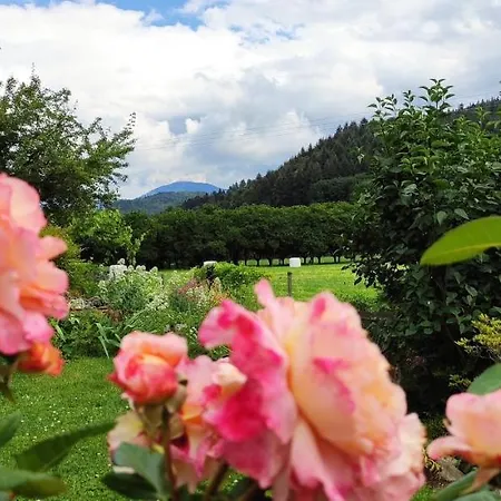 Belchenblick アパート *