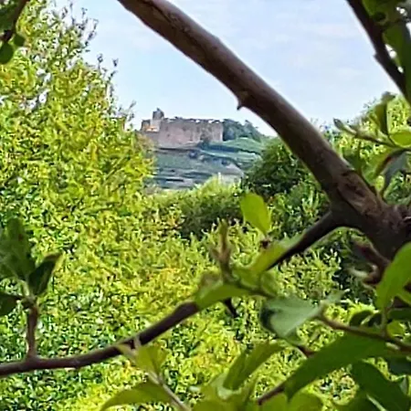 アパート Belchenblick