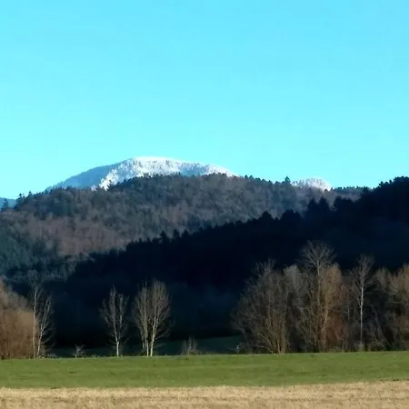Belchenblick Apartment *