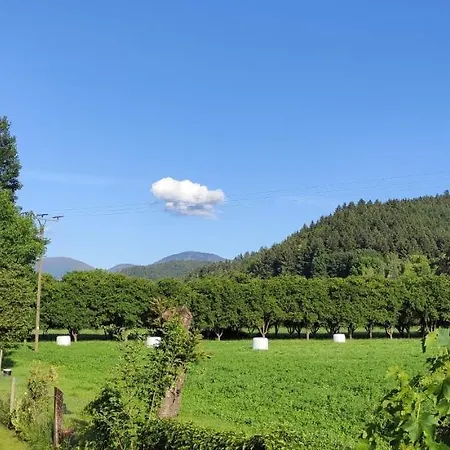 Belchenblick Apartment Staufen im Breisgau