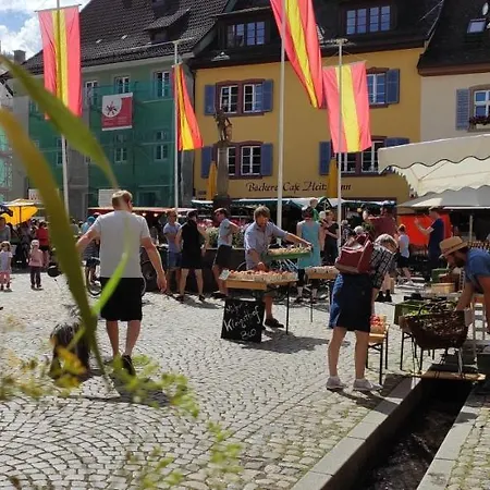 Belchenblick アパート