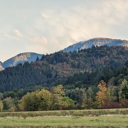 Belchenblick Staufen im Breisgau