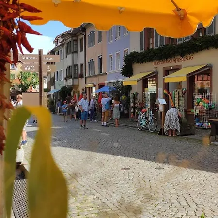 דירה Belchenblick שטאופן אין בריישגאו