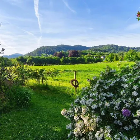 Belchenblick *
