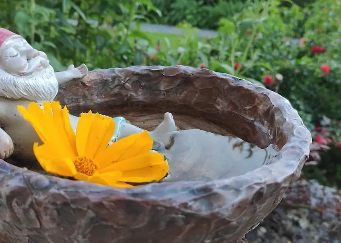 Belchenblick Штауфен-им-Брайсгау