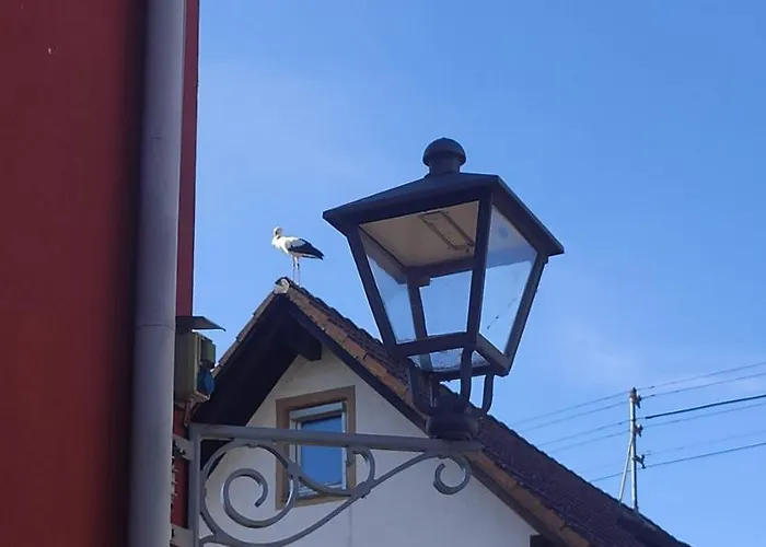 Apartman Belchenblick Staufen im Breisgau