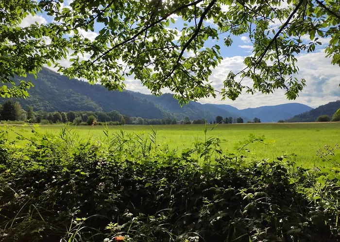 Apartamento Belchenblick *