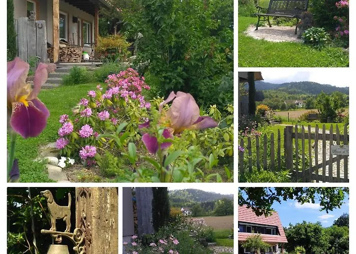 Апартаменты Belchenblick *